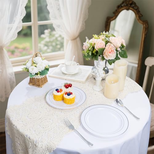 100PCS Silver Plastic Plates (100 Count)