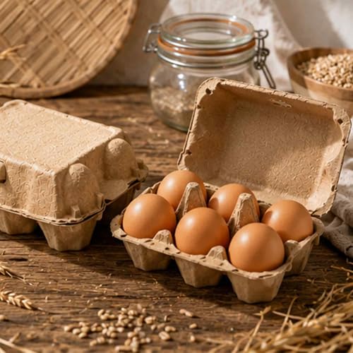 15 Pack Egg Cartons Cheap Bulk (15 Count)