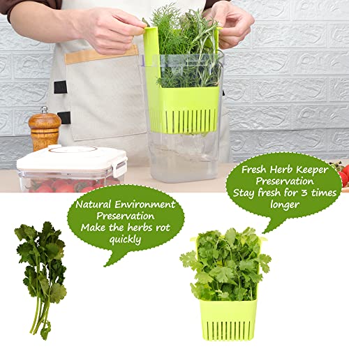 2 Pack Fresh Herb Keeper for Refrigerator (2 Count)