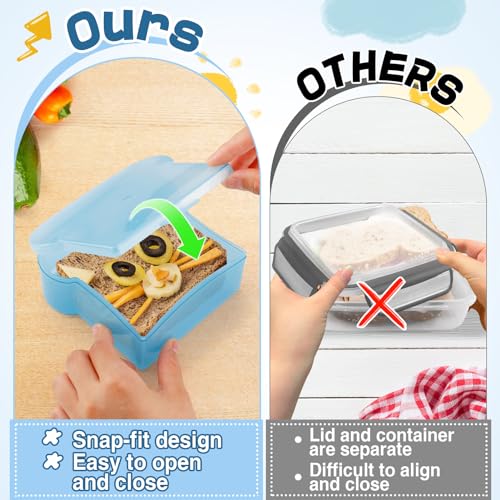 20 Oz Sandwich Containers for Kids (2 Count)