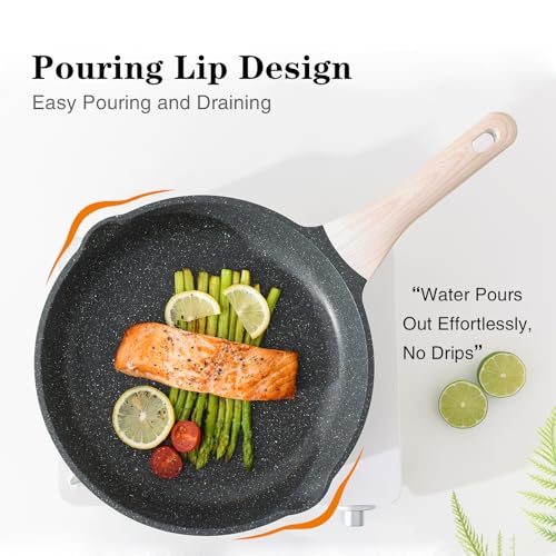 Non Stick Frying Pan Skillet