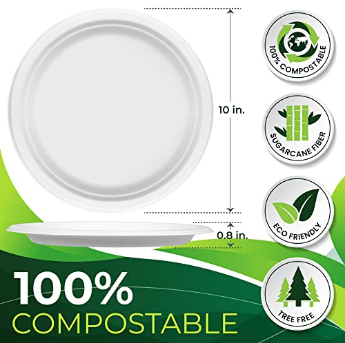 150pcs 100% Compostable Paper Plates (150 Count)