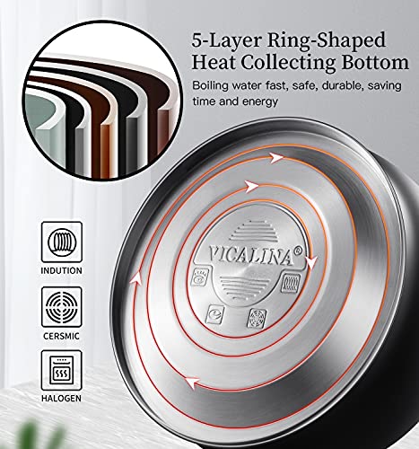 Whistling Tea Kettle Stovetop