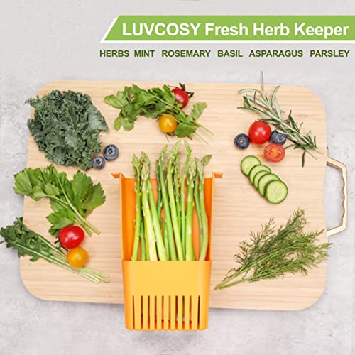 Fresh Herb Keeper for Refrigerator