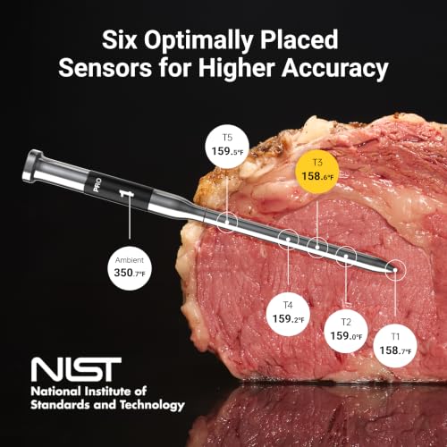 Sub 1G Wireless Meat Thermometer