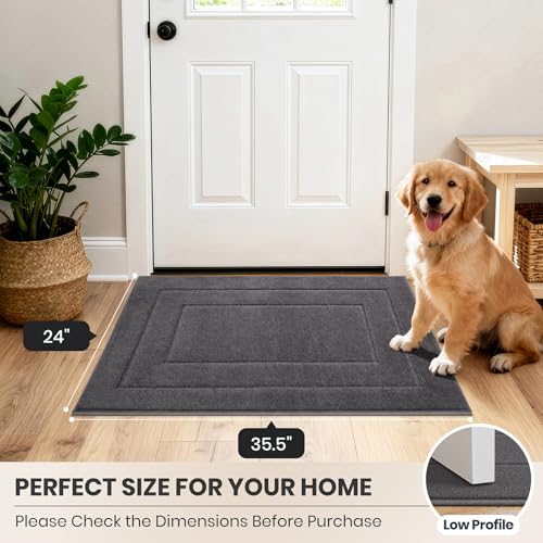 Dirt Trapping Door Mat Indoor Entrance