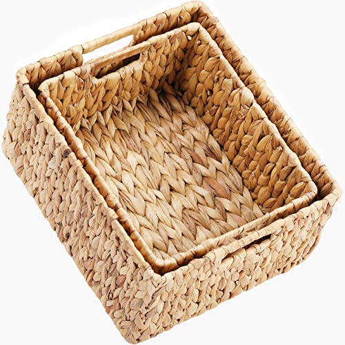 Water Hyacinth Storage Baskets (2 Count)