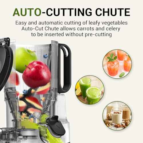 Cold Press Juicer