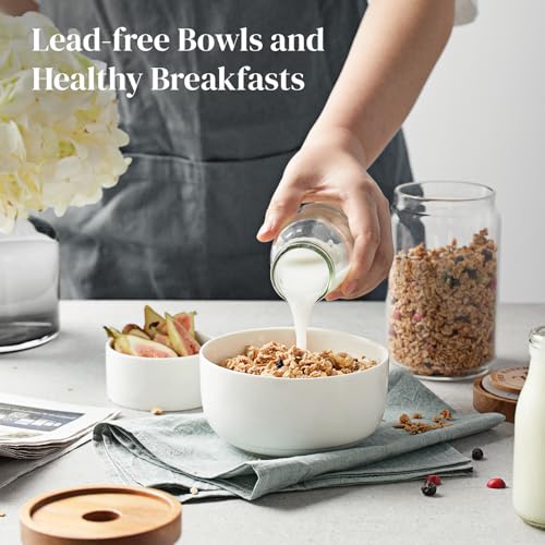 White Ceramic Bowls Set of 6 (6 Count)