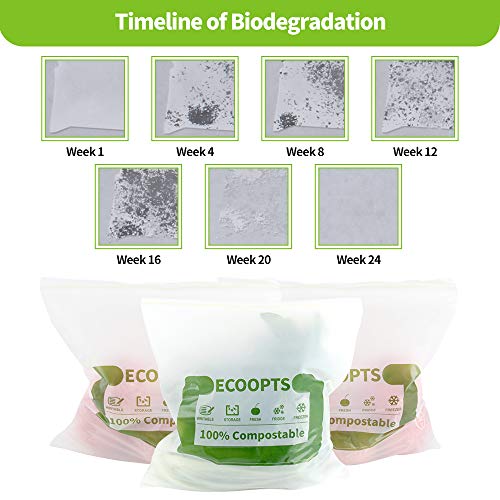 100% Compostable Sandwich Zip Bag