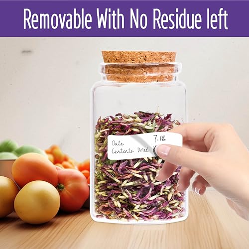 500 Removable Blank Food Labels