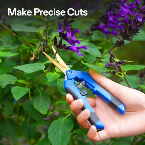 6.5 Inch Garden Scissors (6 Count)