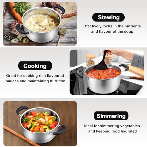 3 Qt Stockpot with Lid