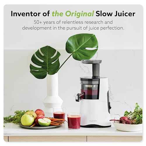 H AA Cold Press Juicer Machine