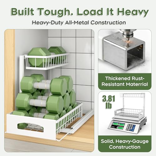 Under Sink Organizer