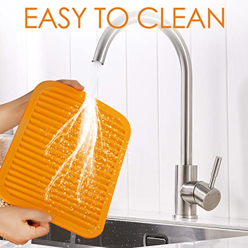 Silicone Trivets for Hot Pots and Pans (2 Count)