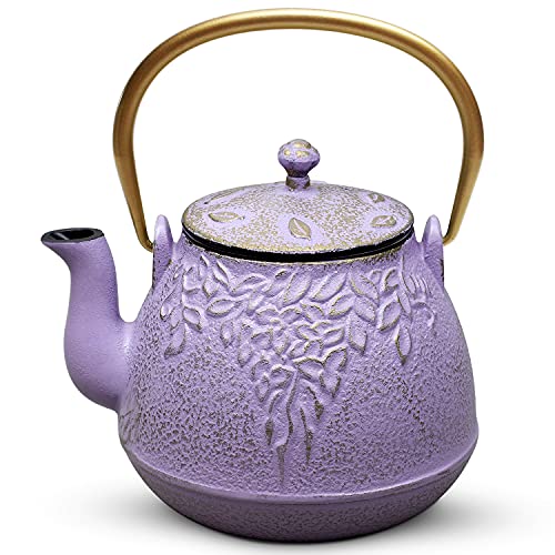 Tea Kettle TOPTIER Japanese Cast Iron Teapot with Stainless Steel Infuser