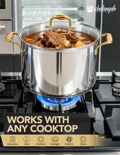 Stainless Steel Stock Pot with Lid