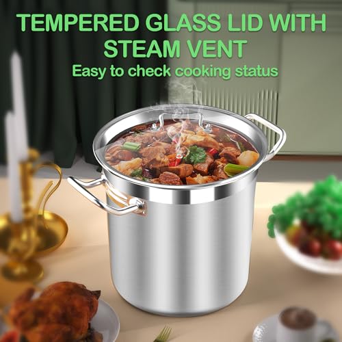 Stainless Steel 20 Quart Stockpot with Tempered Glass Lid
