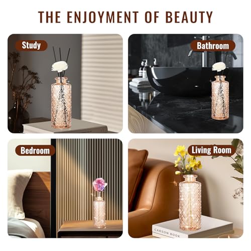 Glass Bud Vase (6 Count)
