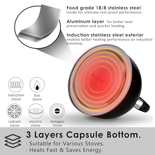 2.6 Quart Whistling Stainless Steel Tea Kettle for Stovetop