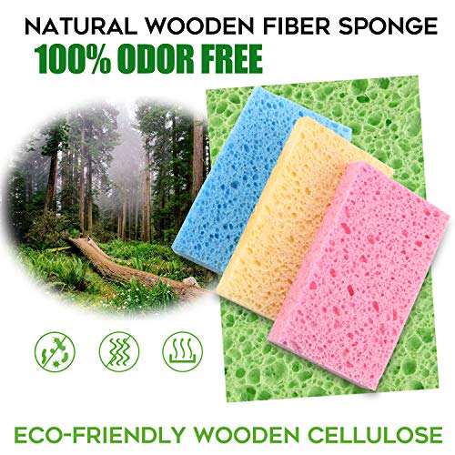 Compressed Cellulose Kitchen Sponges 12Pack (12 Count)
