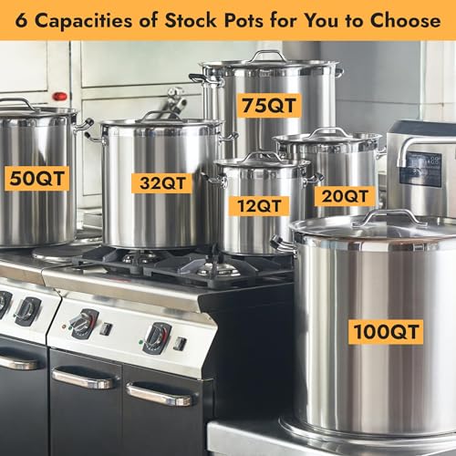 20 Quart Large Stock Pot with Lid