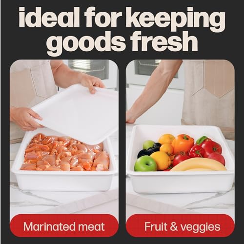 Pizza Dough Proofing Box (2 Count)