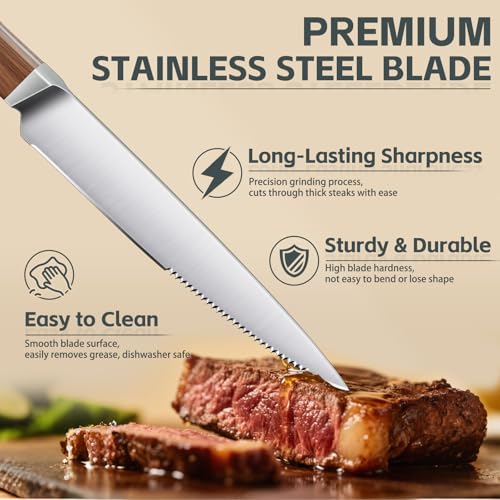 Serrated Steak Knives Set of 4 inch (4 Count)