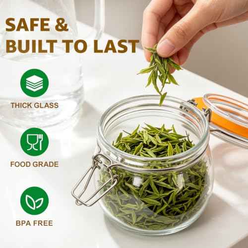 Small Glass Storage Jars with Airtight Lids Wide Mouth 17 oz 6 Pack (6 Count)