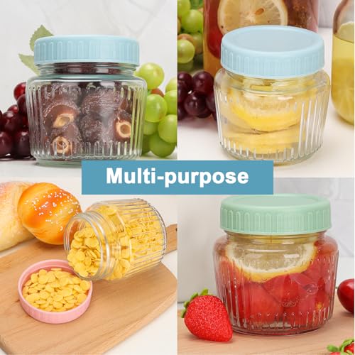 8 oz Mason Jars 6 Pack (6 Count)