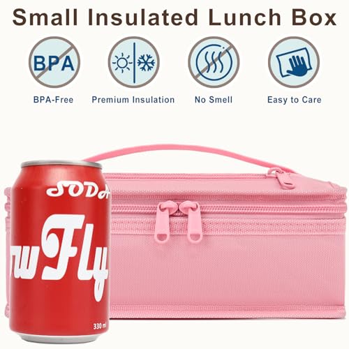 Small Insulated Lunch box Portable Soft Bag Mini Cooler Thermal Meal Tote Kit with Handle for Work & School