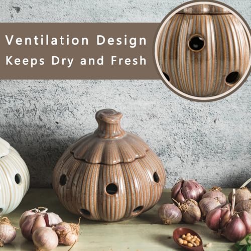 Large Garlic Keeper Storage for Counter