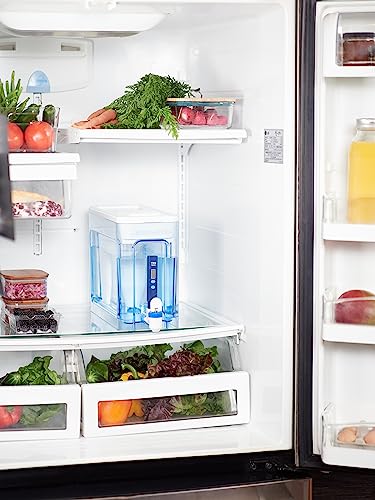 32 Cup Water Filter Dispenser Removes PFOA