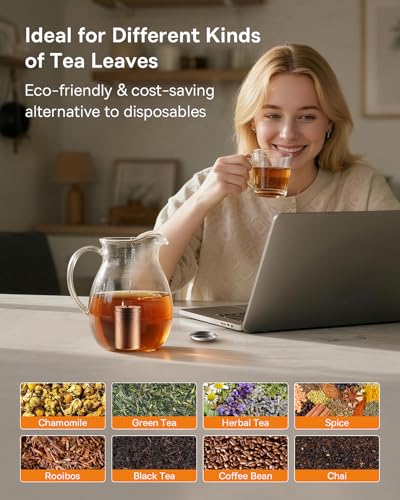 2 Pack Tea Strainers for Loose Tea