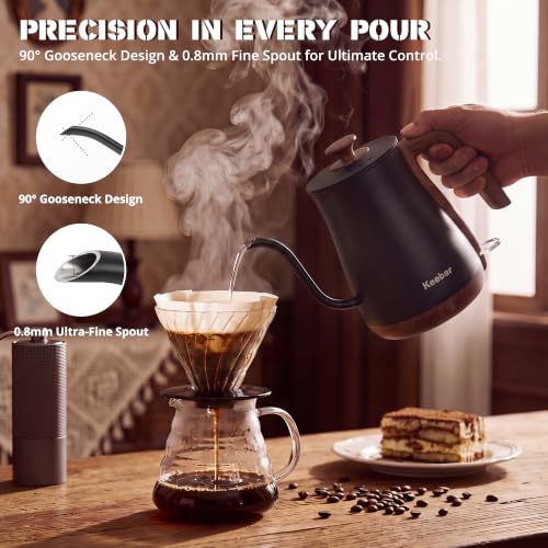 Gooseneck Electric Kettle