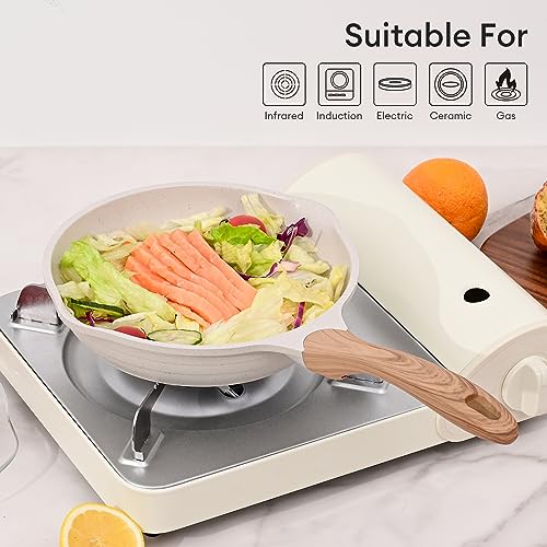 9.5 Inch Nonstick Frying Pan Skillet with Dual Spouts Omelet Egg Pan