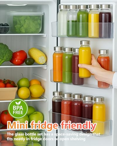 Glass Water Bottles with Stainless Steel Lids 12 oz (12 Count)