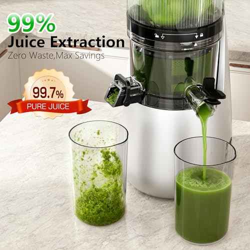 Cold Press Juicer