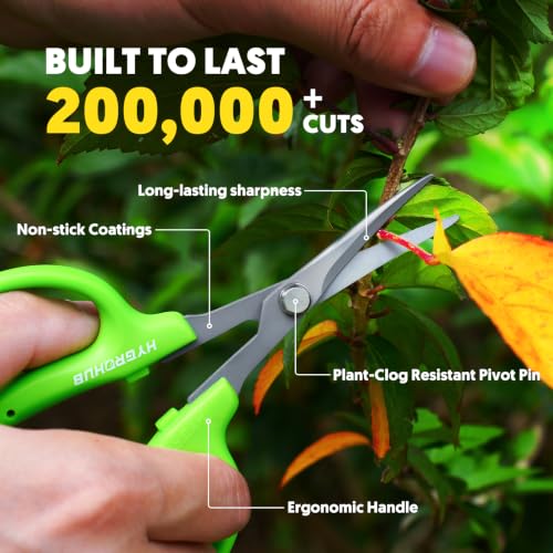 Garden Scissors