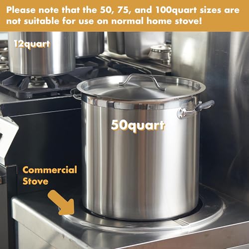 50 Quart Heavy Duty Stock Pot with Lid