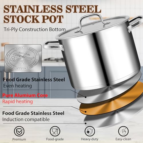 Stainless Steel Stock Pot