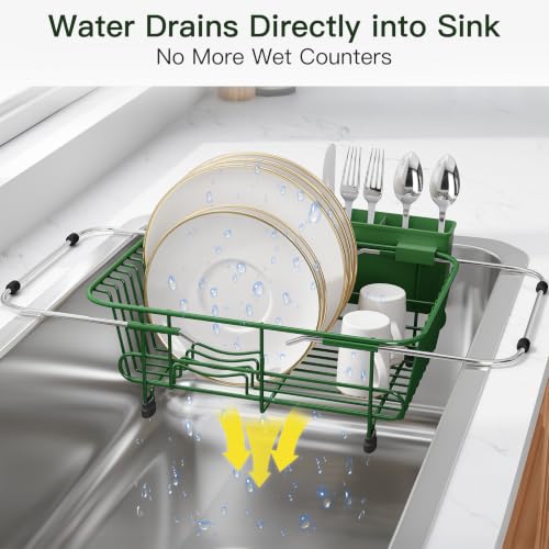Green Dish Drying Rack in Sink with Utensil Holder