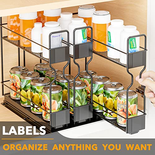 Pull Out Spice Rack Organizer
