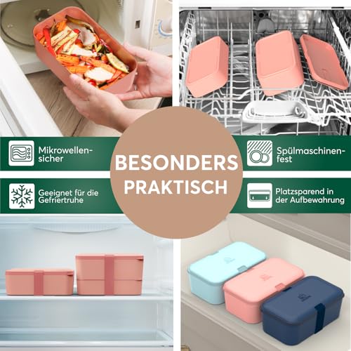 Lunch Box Containers w