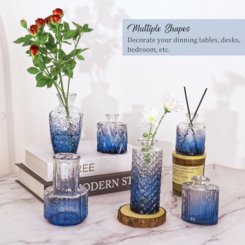 Set of 36 Glass Bud Vases Small Flower Vases for Centerpieces (36 Count)