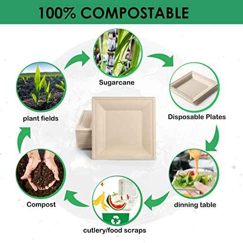 Compostable Square Paper Plates 8 Inch 100 Pack Disposable Plates (100 Count)