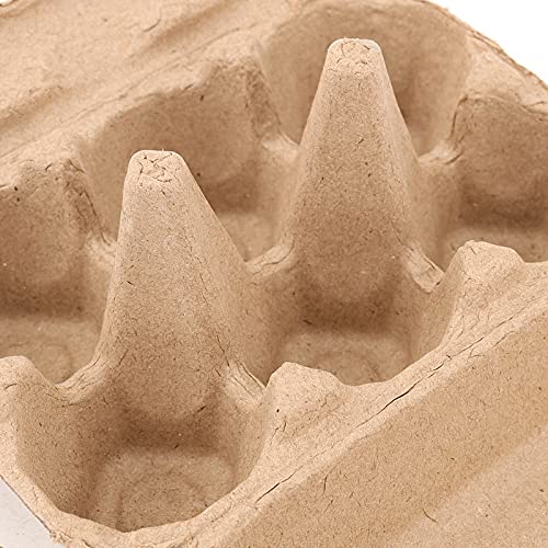 40 Pack 6 Count Egg Cartons (40 Count)