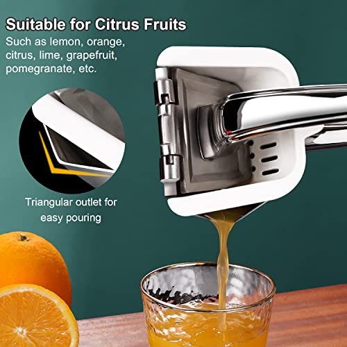 Lemon Squeezer Stainless Steel