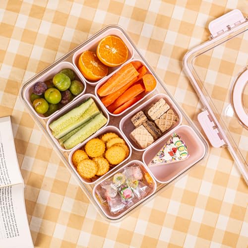 Divided Serving Tray with Lid and Handle